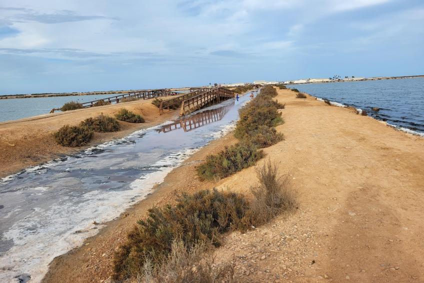 Double Room - foto 31