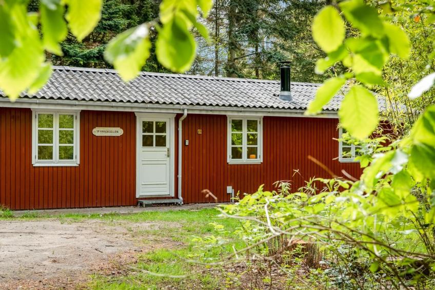 "Lilija" - 7.9km to the fjord - foto 8