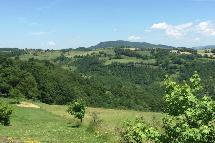 Scalocchio - foto 30