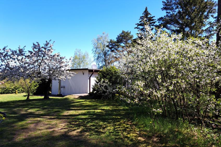 mit Terrasse mitten im Grünen - foto 3