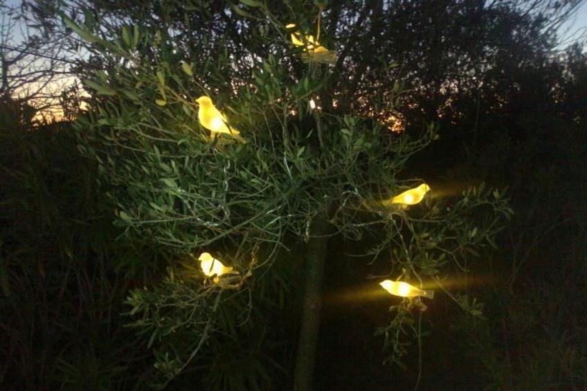 Traumhafte Villa Punta Skala mit 2 Terrassen - foto 31