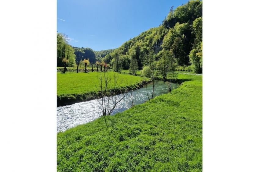 782785 - foto 25