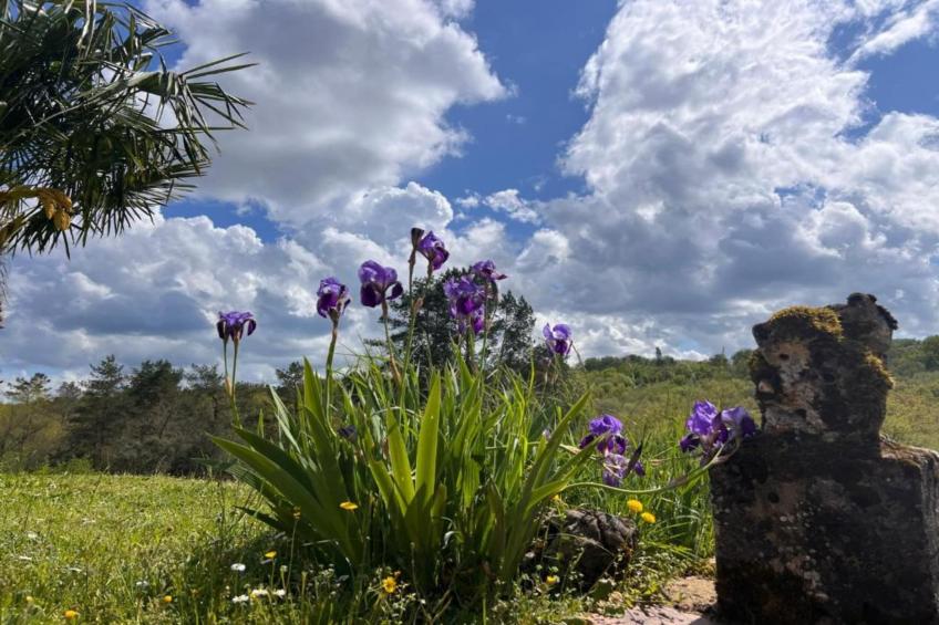 Les Côteaux de Sarlat - foto 27