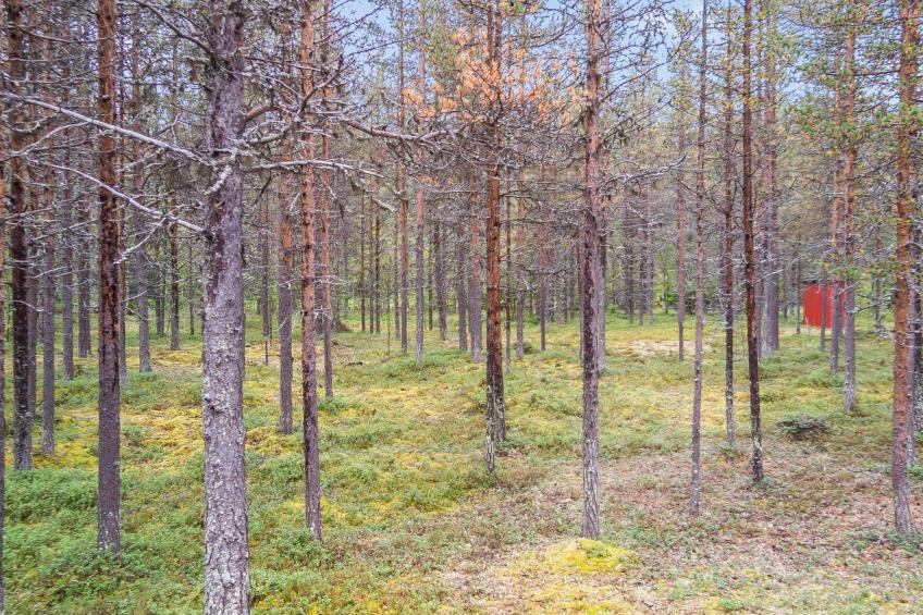 Elnan tupa - foto 16