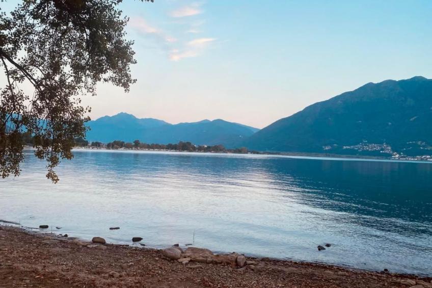 Residenza Arazzo - foto 16