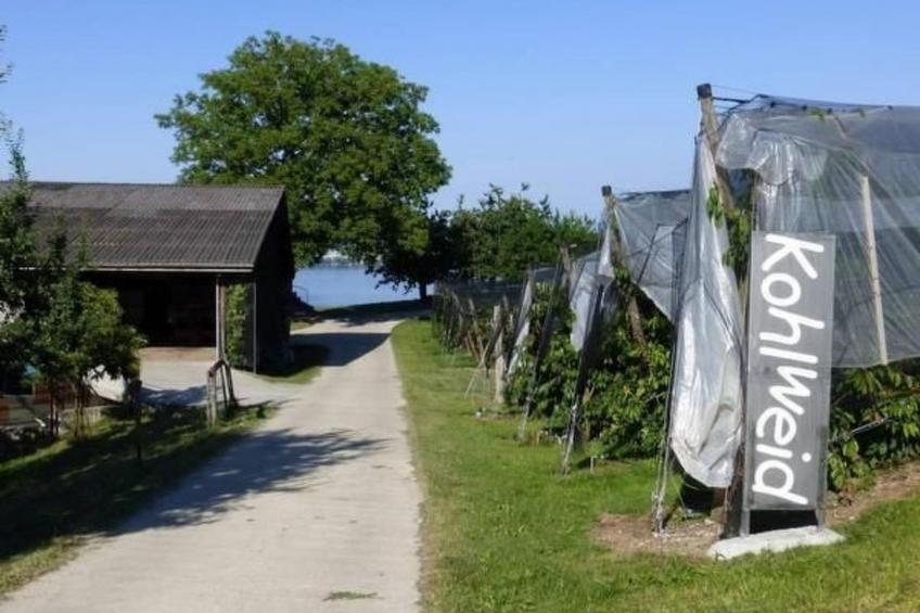 Ferienwohnung - foto 4