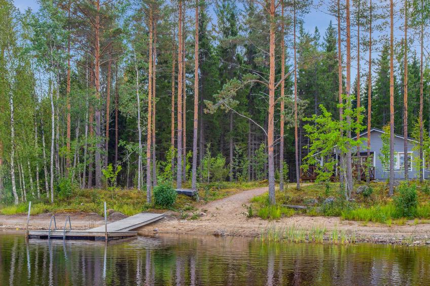 Kaarna - foto 17