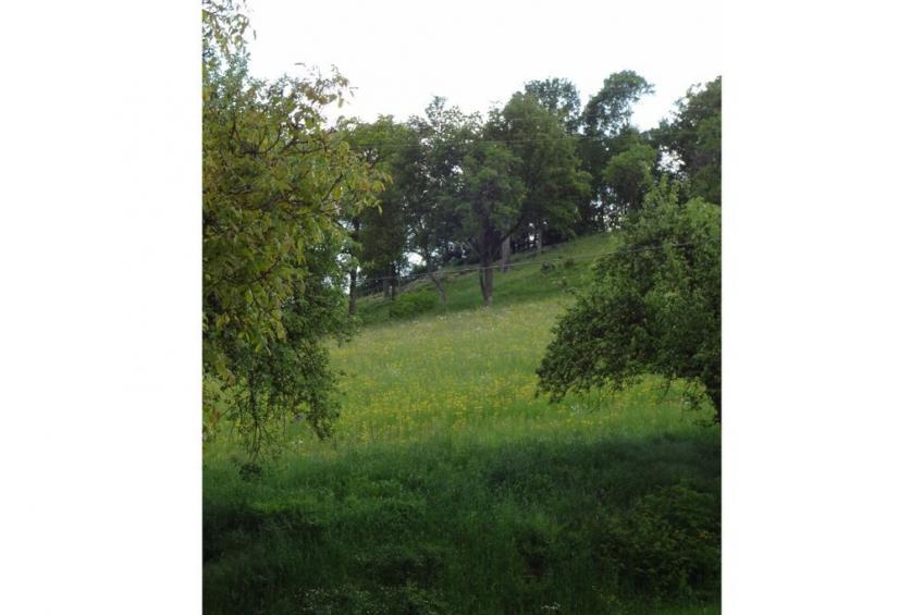 20429 - foto 27