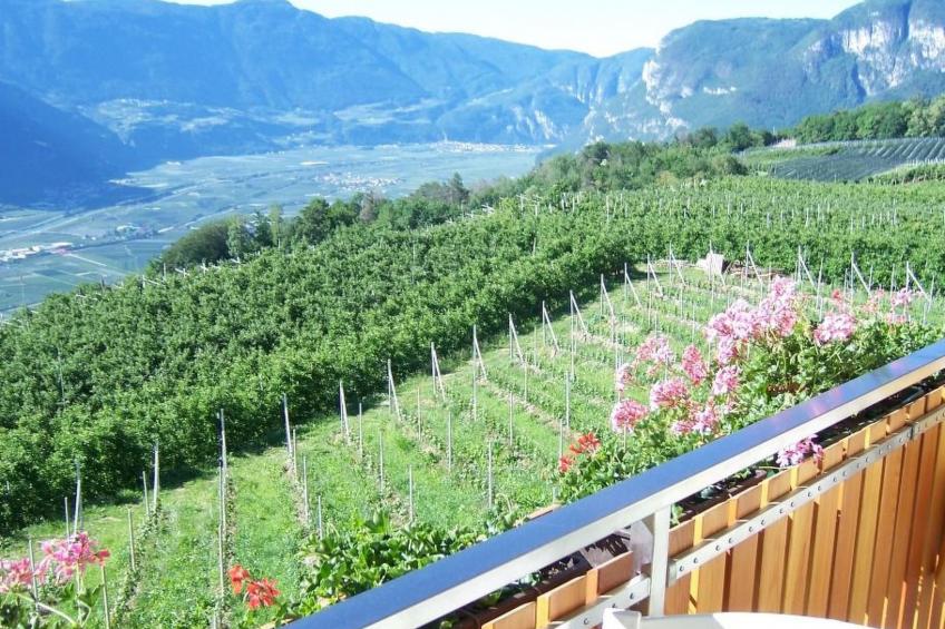 Kerschbamerhof Fewo Pink Lady mit Panoramablick - foto 47