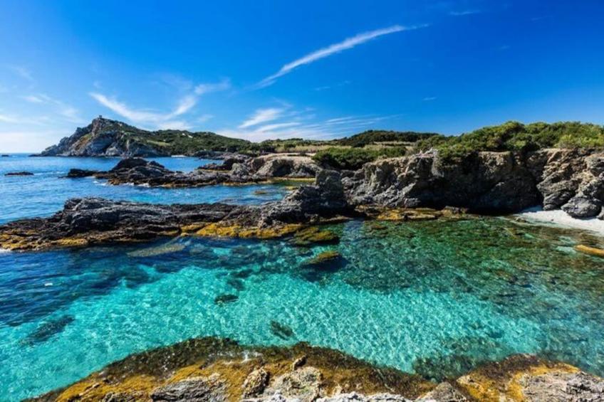 Résidence Palmiers - foto 2