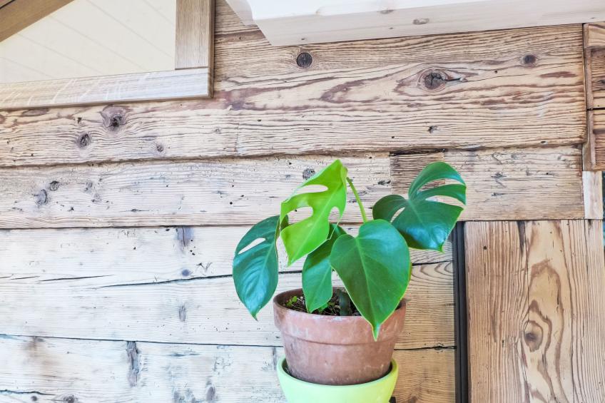 Beim Thor Gross - foto 22