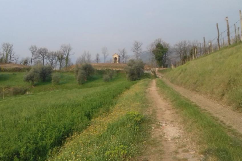 Bauernhof La Bosca - foto 13