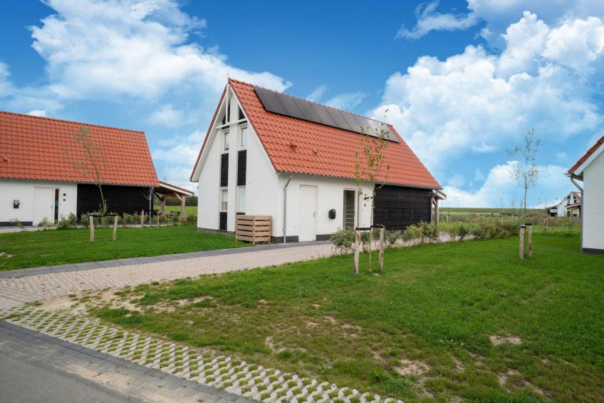 De Kluut