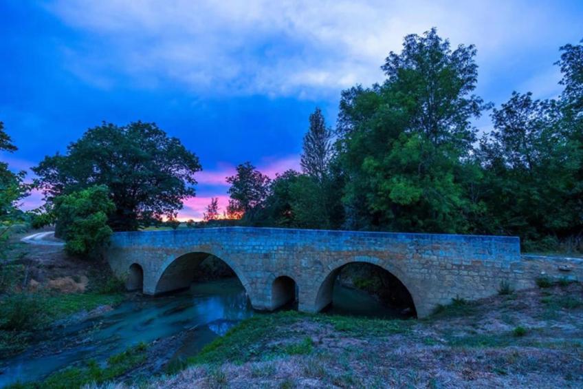 Ecolodge en Sequoia - foto 32