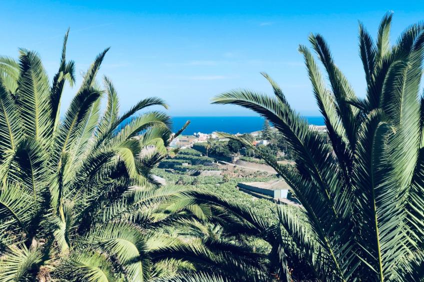 Villa los palmitos Familiäre Privatvilla mit Pool - foto 57