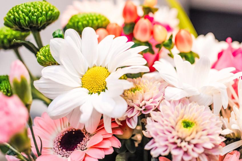 Fishertown Apartment 1st Floor - foto 13