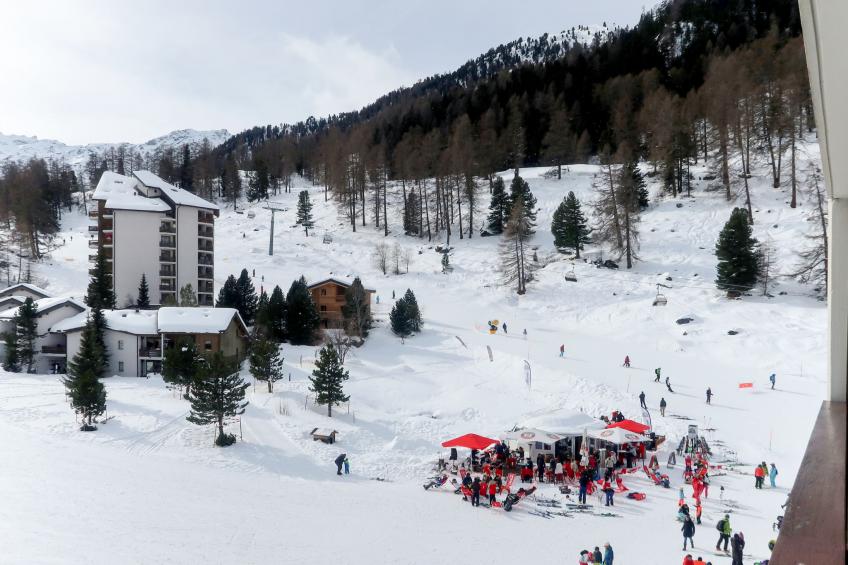 Haute-Nendaz (Siviez) (SIV135) - foto 24