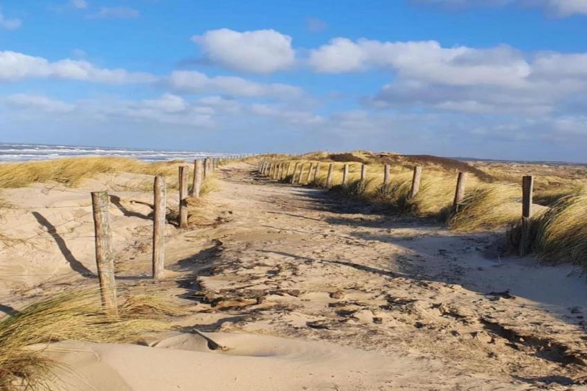 Parel aan de Duinen 6p - foto 39