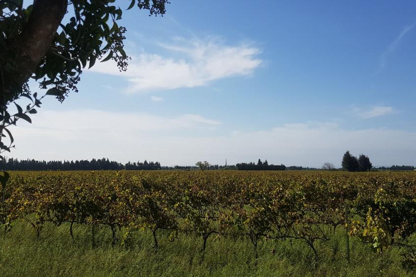 Charmantes Bauernhaus in der Provence - foto 13