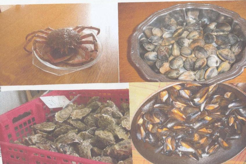 "Pavillon" mit eigenem Parkplatz - foto 3