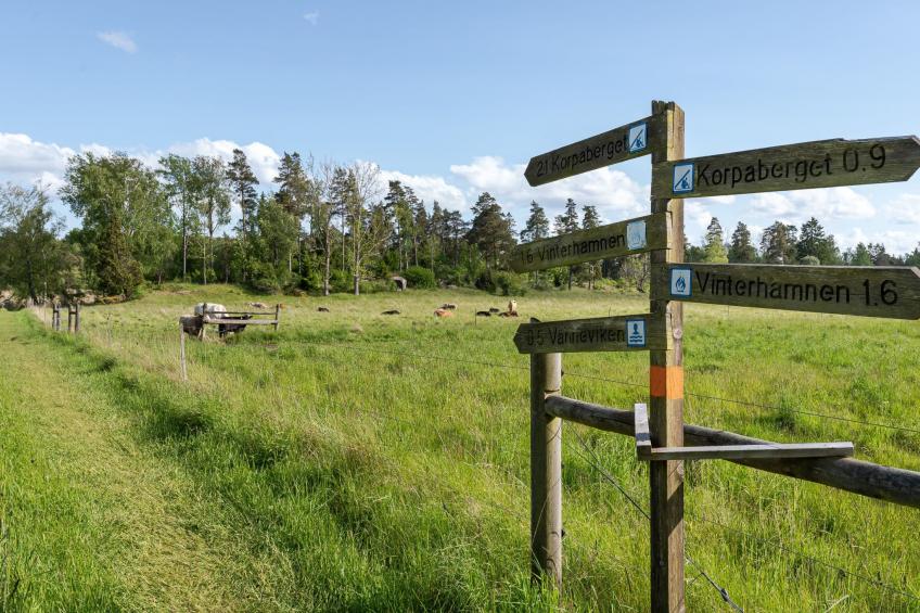 Harge Sörgård (NAK043) - foto 44