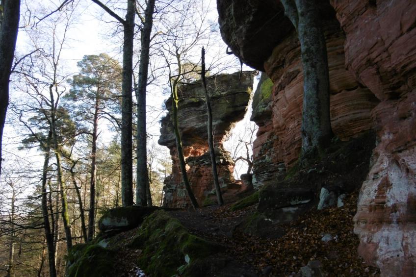 LES BRIMBELLES - foto 25