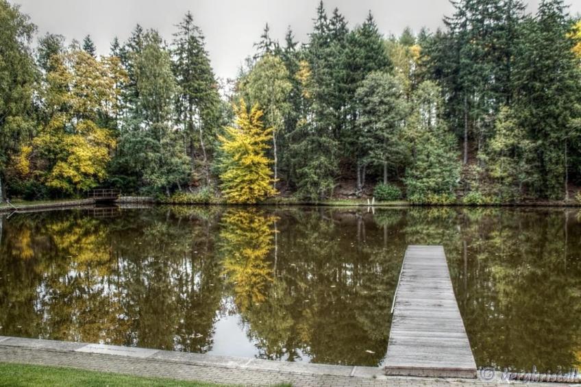 Ferienhaus in Hasselfelde - Haus 509 Auerhahn - foto 17