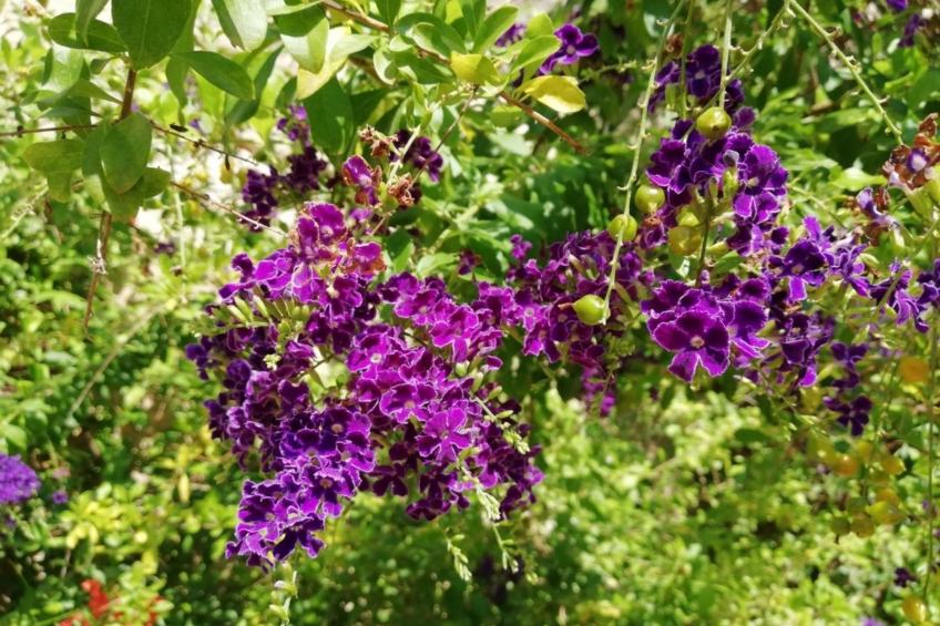 Agora-Wohnungen" in prestigeträchtigem historischen Gebäude - foto 14