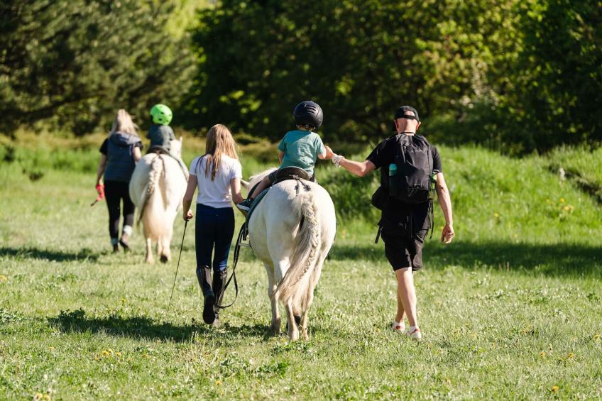 221 4P Immer - foto 12