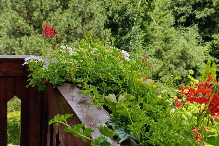 Wohnung Nr. 1 - foto 14