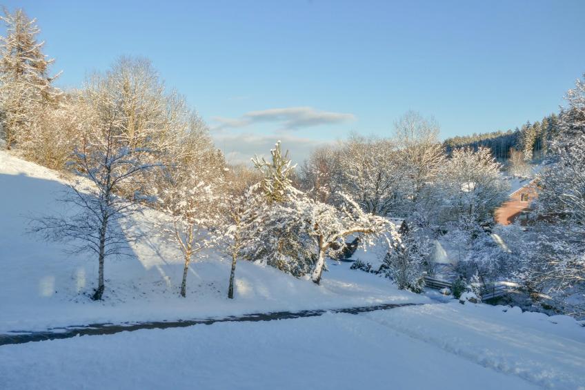 Alte Muehle - foto 24