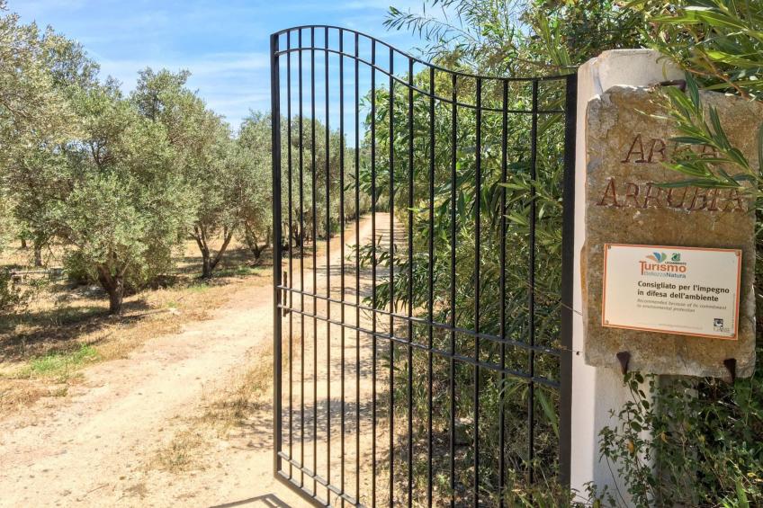 Natur, ökologische Nachhaltigkeit, nur für Erwachsene, Meer in der Nähe - foto 8