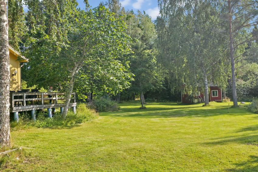 Merenkurkku - foto 29