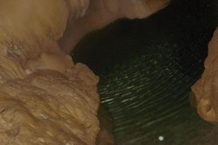 "Au Crêt du Bois" (Auf dem Wald) - foto 19