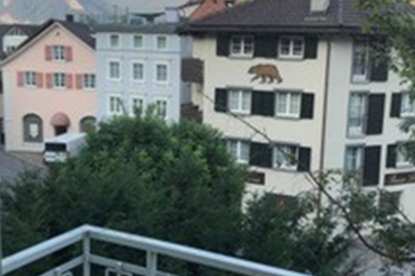 St. Gallerhof Apartment, (Bad Ragaz). 2-Zimmerwohnung mit 3 Balkonen - foto 28