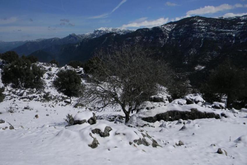 Cerro de la Cruz - foto 40