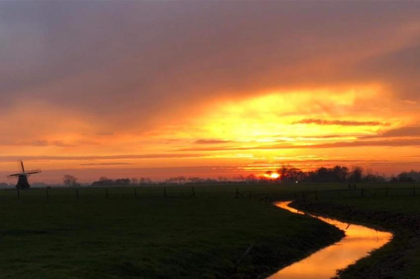 Angema Goet - foto 28