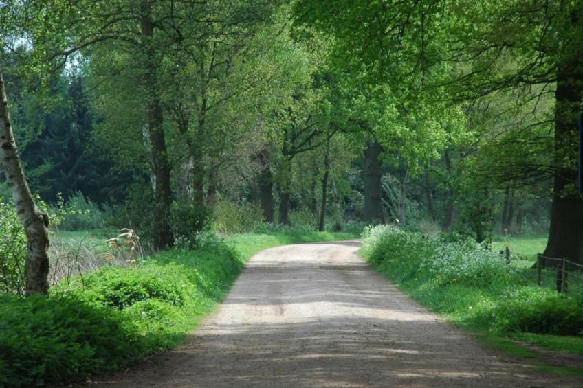 Welskerveen - 4 personen - foto 37