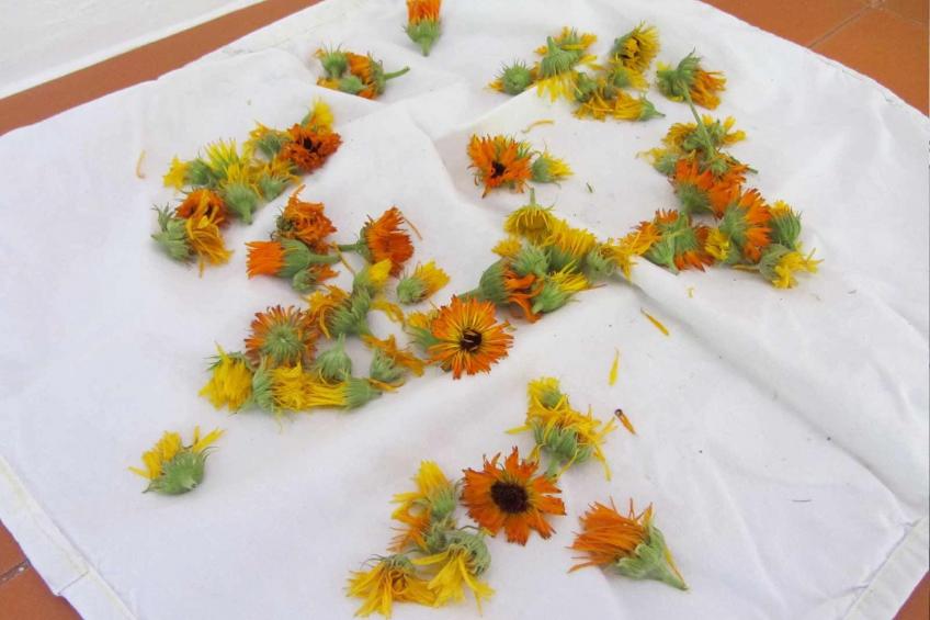 Geräumiges Ferienhaus inmitten der Natur - foto 19