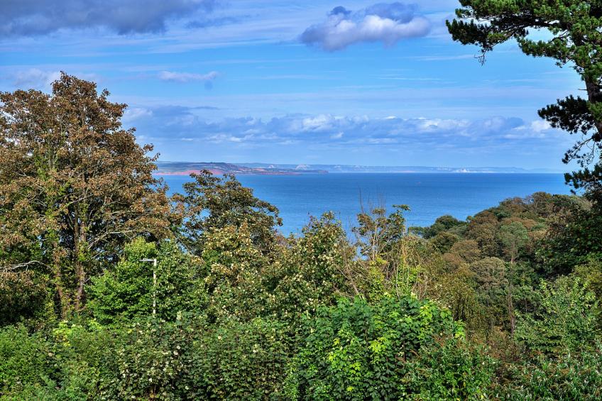 The View - foto 30