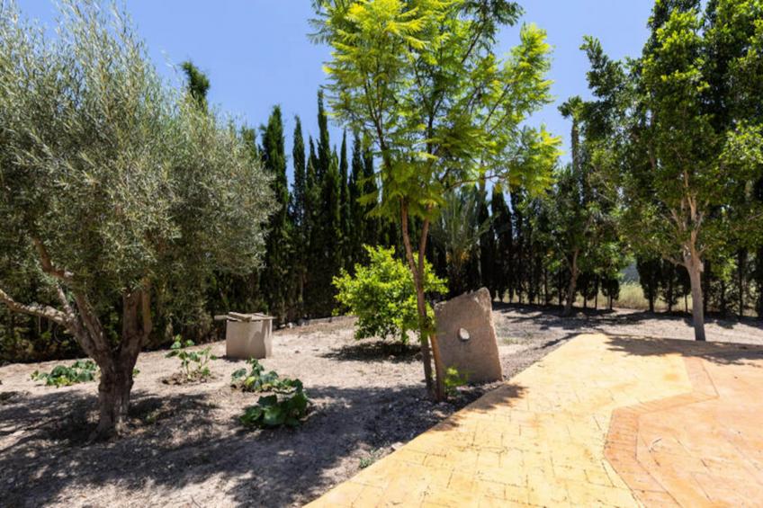 Maison à Catral - foto 12