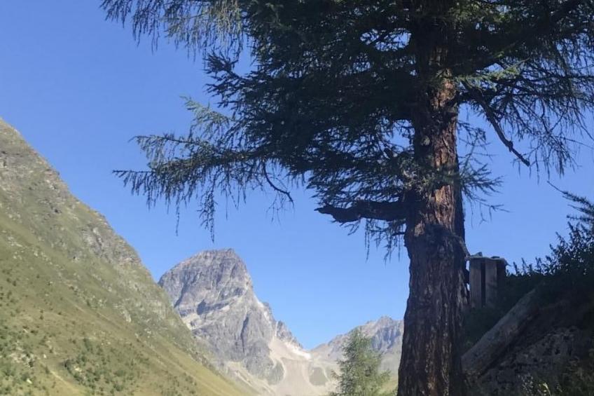 Urlaubstage in Davos - foto 4