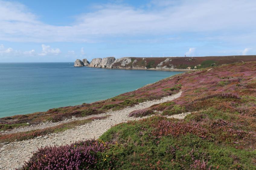 "Les Hortensias" (Die Hortensien) - foto 31