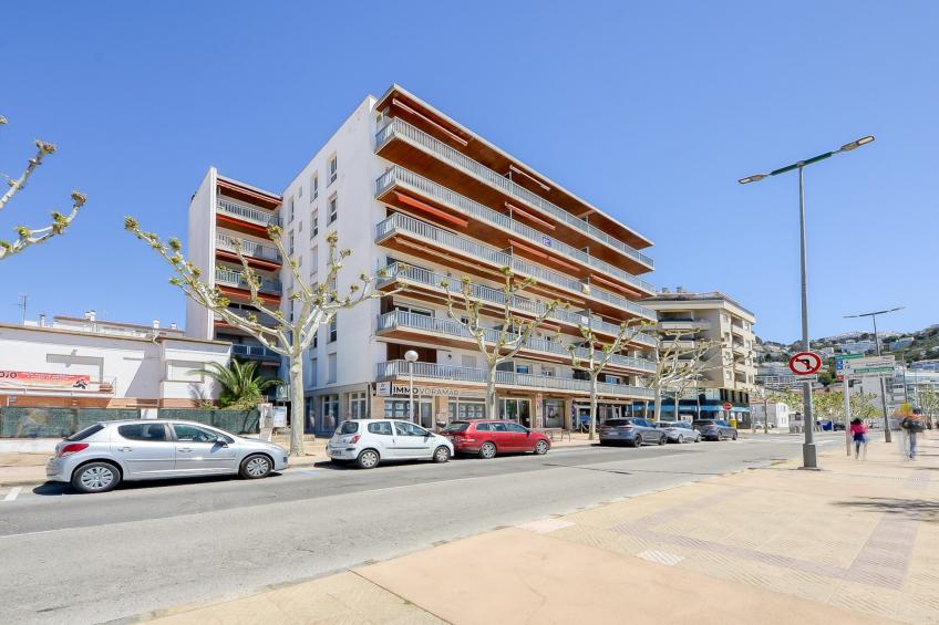 Av De Rhode 229 Roses