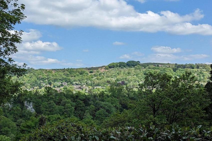 Nelly's Nook - foto 19