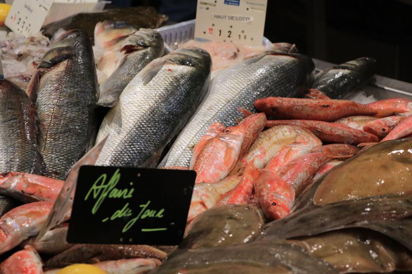 KerDesAmis - foto 48