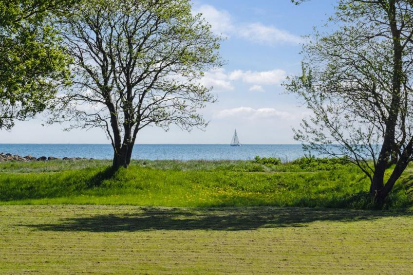 "Elba" - 100m from the sea in SE Jutland - foto 29