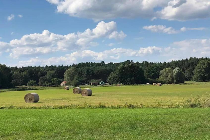 Vakantiedorp am Weinberg, Dobbrikow - Type A - foto 16