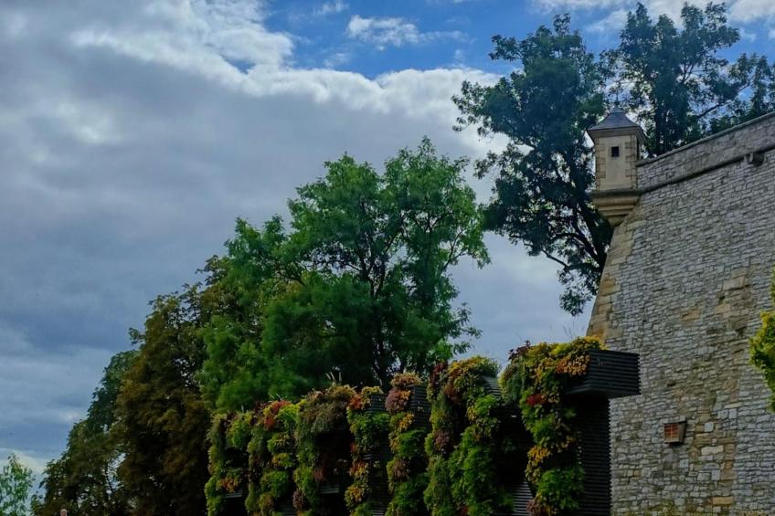 Am Sandberg - foto 22