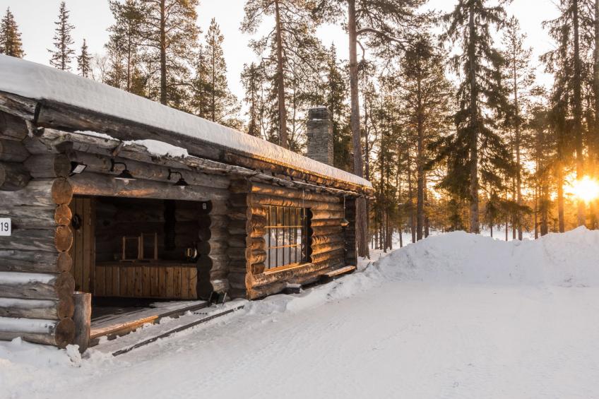 Metsä-luosto - foto 19